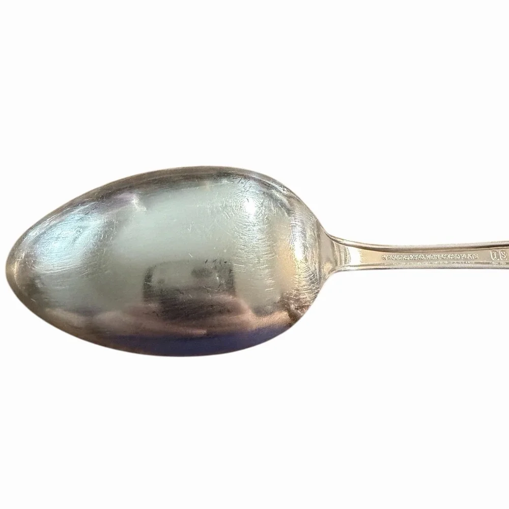 Rogers‎ & Bro Reinforced Plate MODERN ROSE International Silver 1949 Soup Spoon